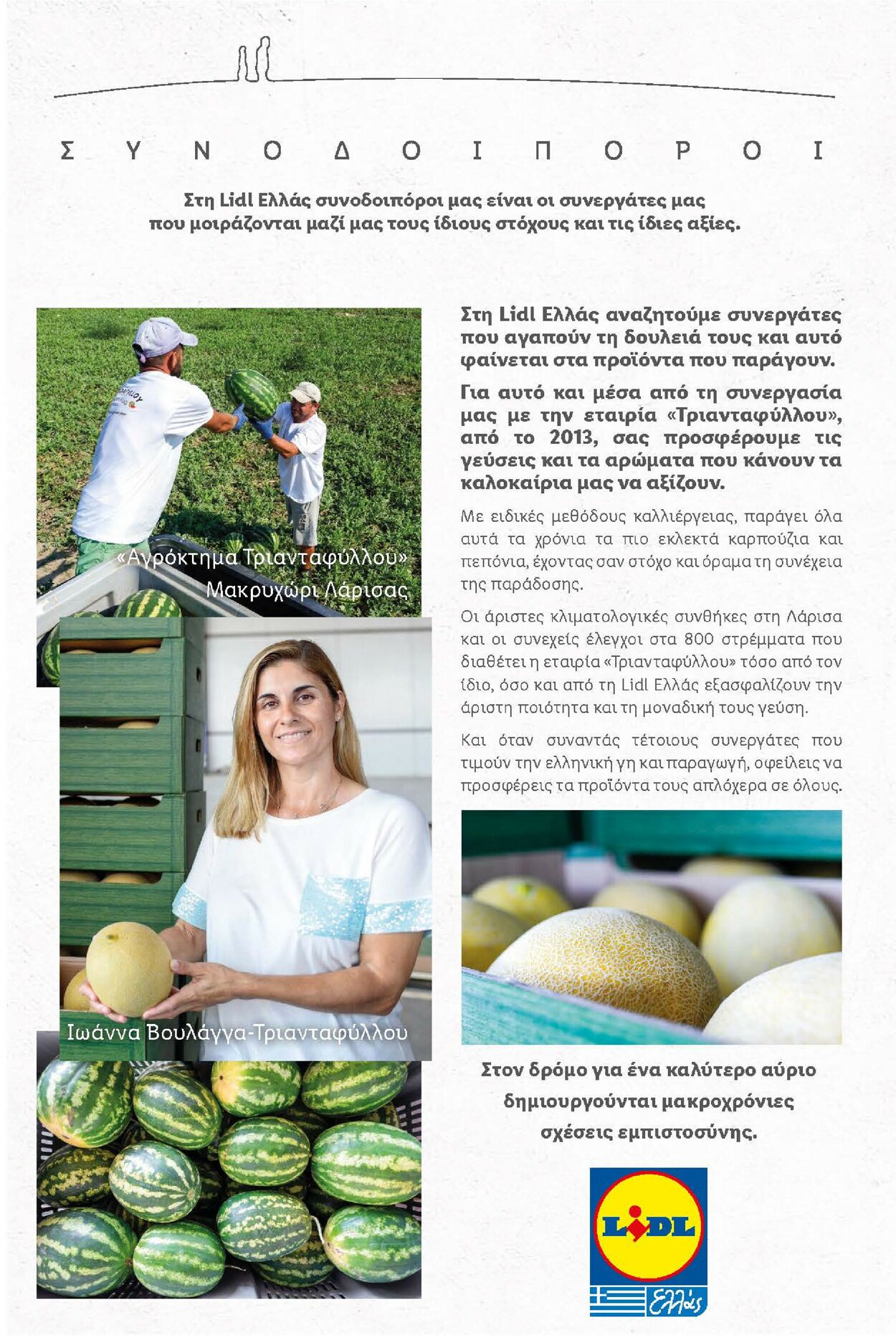 φυλλάδια Lidl 05.07.2021 - 10.07.2021