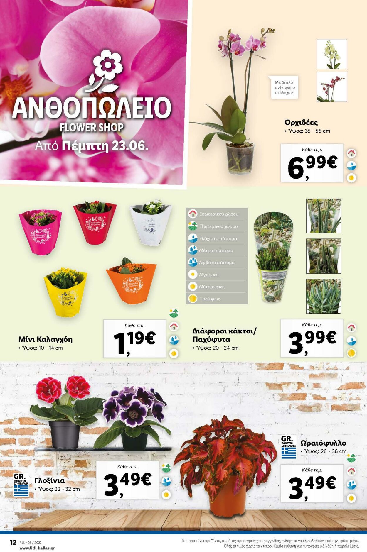 φυλλάδια Lidl 20.06.2022 - 29.06.2022
