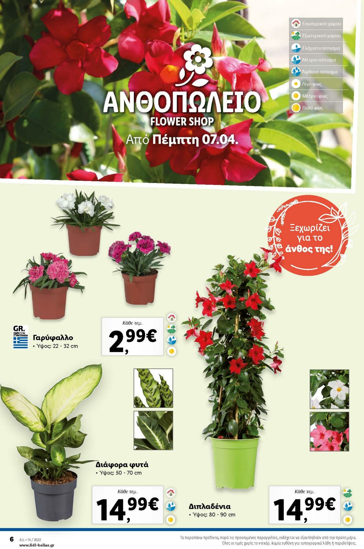φυλλάδια Lidl 07.04.2022 - 13.04.2022