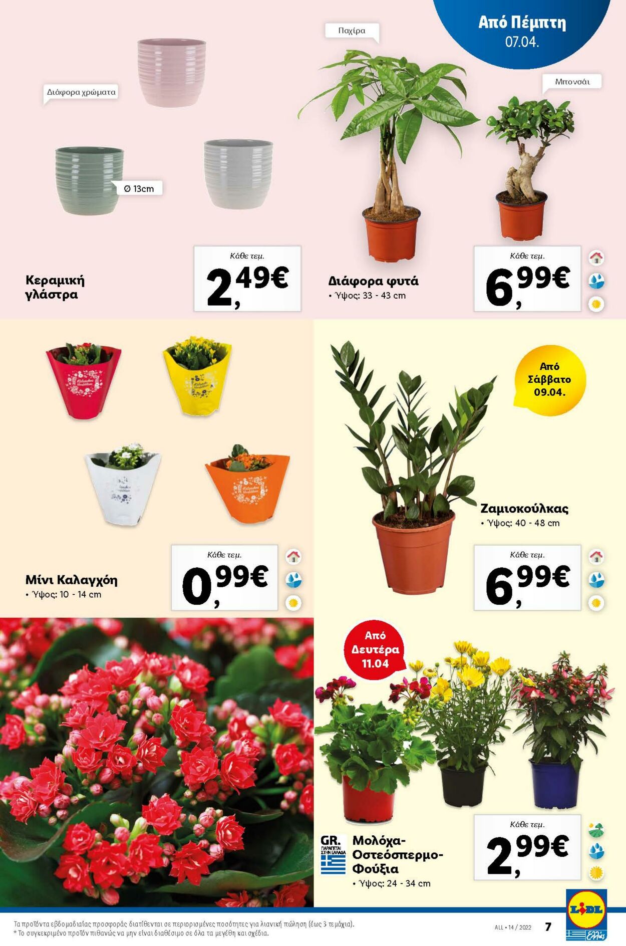 φυλλάδια Lidl 07.04.2022 - 13.04.2022