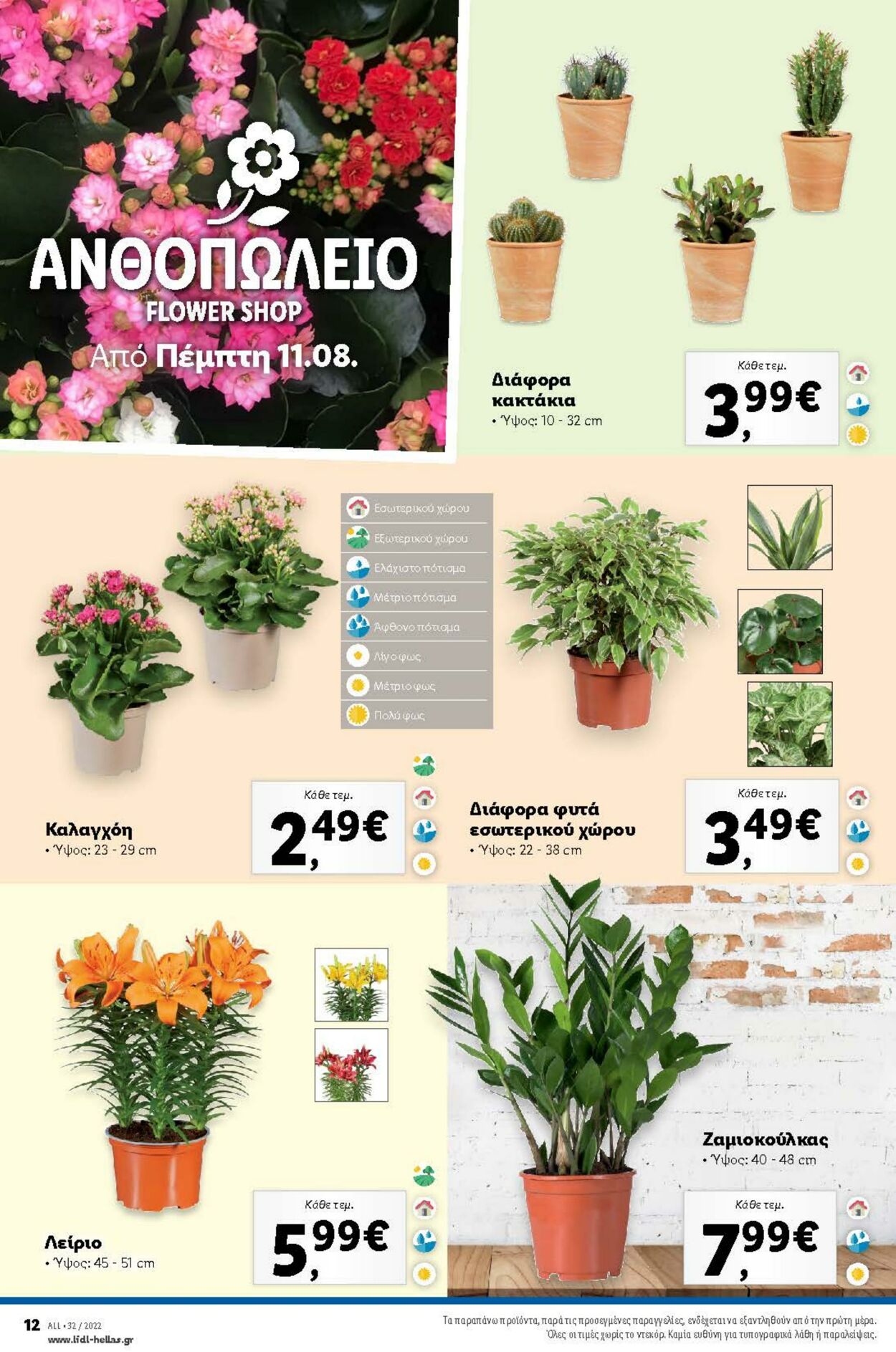 φυλλάδια Lidl 11.08.2022 - 17.08.2022