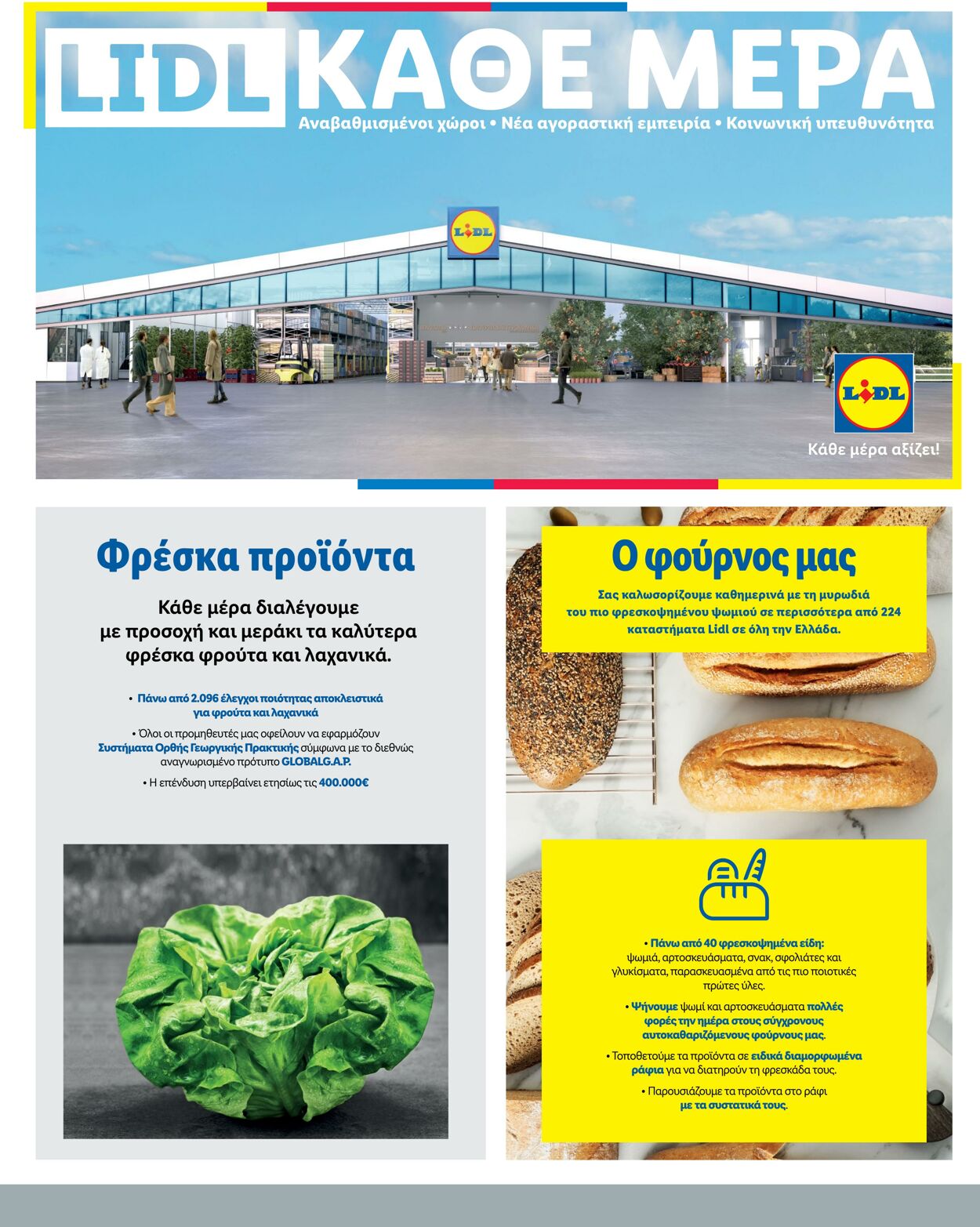 φυλλάδια Lidl 08.03.2023 - 15.03.2023