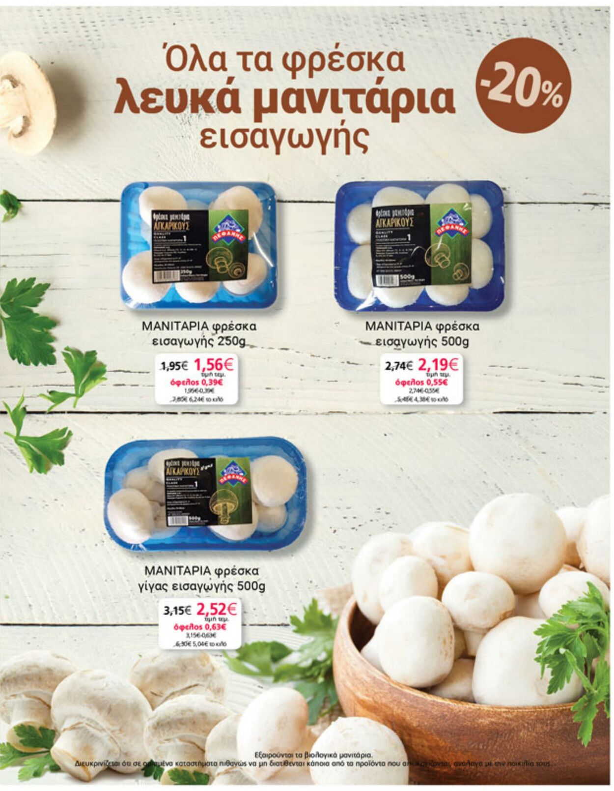 φυλλάδια My Market 12.07.2023 - 13.09.2024